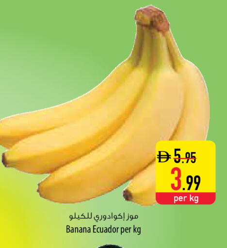Banana from Ecuador available at Safeer Market in UAE - Abu Dhabi