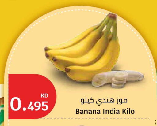 Banana from India available at City Hypermarket in Kuwait - Kuwait City