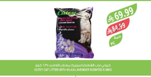 available at Farm  in KSA, Saudi Arabia, Saudi - Al-Kharj