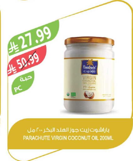 Coconut available at Farm  in KSA, Saudi Arabia, Saudi - Al-Kharj