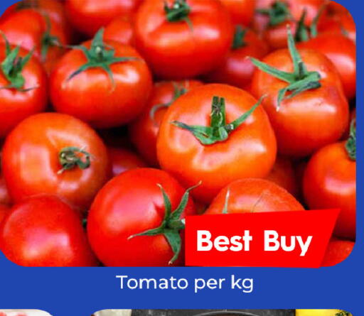 Tomato available at Mubarak Hypermarket Sharjah in UAE - Sharjah / Ajman