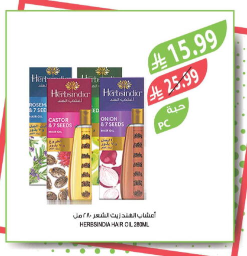 Onion available at Farm  in KSA, Saudi Arabia, Saudi - Jubail