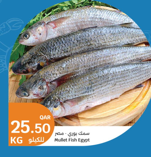 available at City Hypermarket in Qatar - Al Rayyan