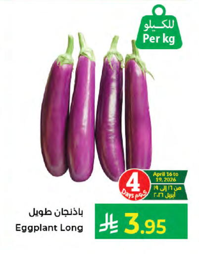 Eggplant available at Kabayan Hypermarket in KSA, Saudi Arabia, Saudi - Jeddah