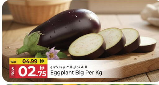 Eggplant available at Kenz Hypermarket in UAE - Sharjah / Ajman