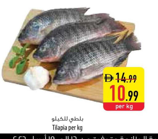 available at السفير ماركت in الإمارات العربية المتحدة , الامارات - ٱلْفُجَيْرَة‎