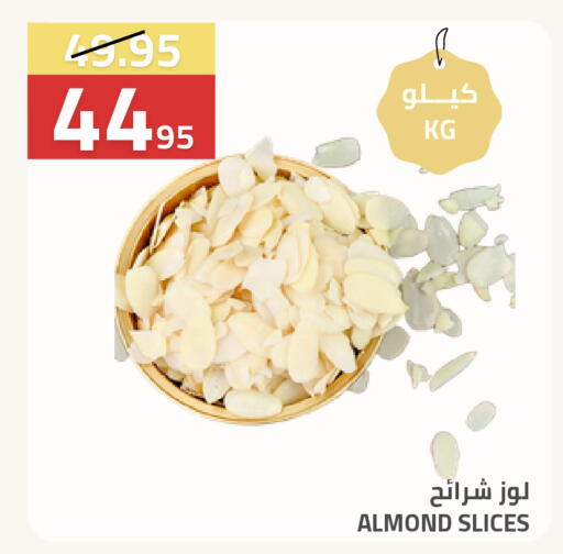 available at Astra Markets in KSA, Saudi Arabia, Saudi - Tabuk