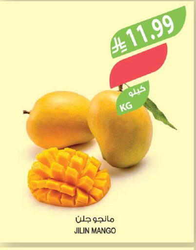 Mango available at المزرعة in مملكة العربية السعودية, السعودية, سعودية - الخبر‎