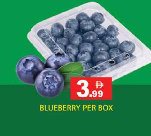 Blueberry BlueBerry available at زين مارت سوبرماركت in الإمارات العربية المتحدة , الامارات - رَأْس ٱلْخَيْمَة
