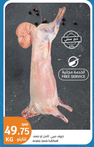 available at سيتي هايبرماركت in قطر - الضعاين