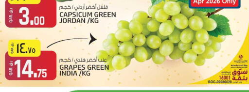 Grapes Capsicum from Jordan India available at السعودية in قطر - الشحانية
