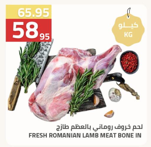 available at Astra Markets in KSA, Saudi Arabia, Saudi - Tabuk