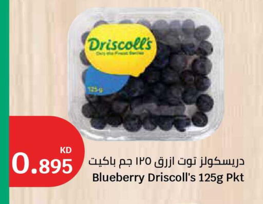 Blueberry BlueBerry available at City Hypermarket in Kuwait - Kuwait City
