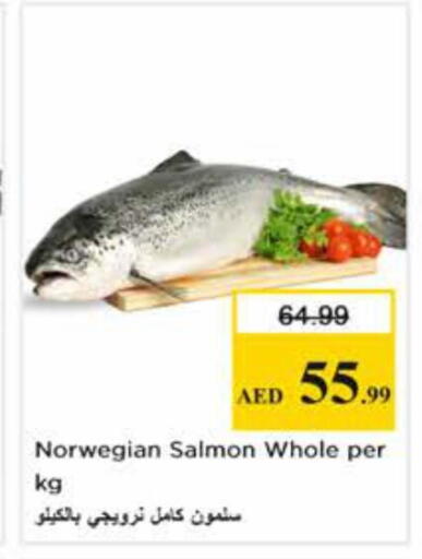 available at نستو هايبرماركت in الإمارات العربية المتحدة , الامارات - دبي