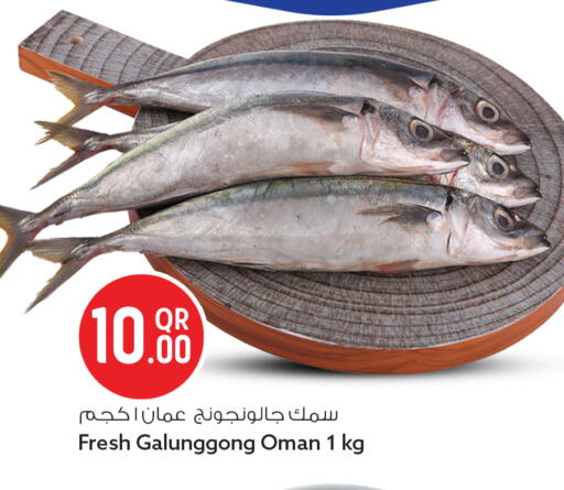 available at سفاري هايبر ماركت in قطر - الوكرة