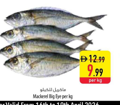 available at السفير ماركت in الإمارات العربية المتحدة , الامارات - ٱلْفُجَيْرَة‎