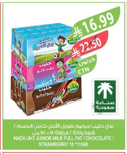 Strawberry available at المزرعة in مملكة العربية السعودية, السعودية, سعودية - القطيف‎