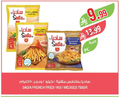 Potato available at Farm  in KSA, Saudi Arabia, Saudi - Al-Kharj