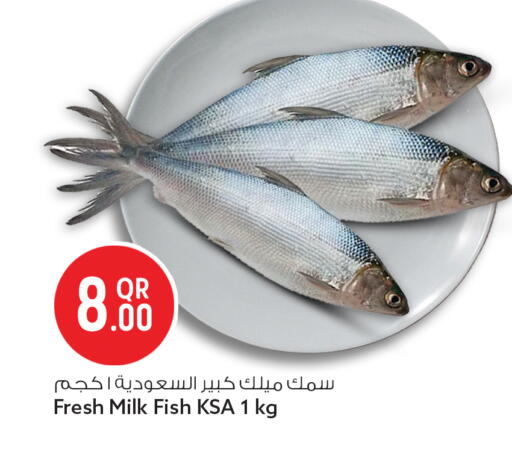 available at سفاري هايبر ماركت in قطر - الوكرة