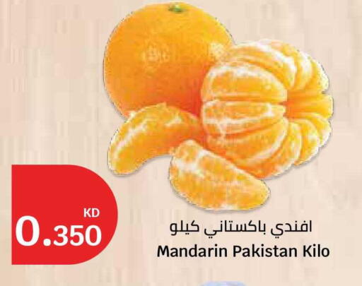Mandarin from Pakistan available at City Hypermarket in Kuwait - Kuwait City