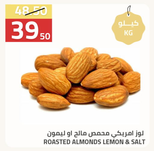 Lemon available at Astra Markets in KSA, Saudi Arabia, Saudi - Tabuk