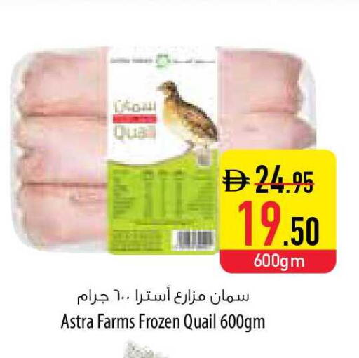 available at Safeer Market in UAE - Fujairah