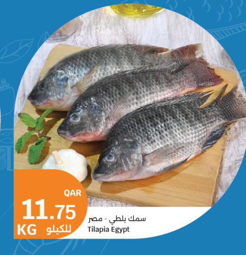 available at City Hypermarket in Qatar - Al Rayyan