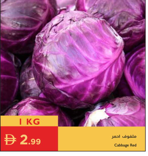 Cabbage available at Istanbul Supermarket in UAE - Ras al Khaimah