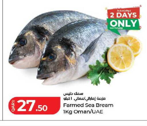 available at لولو هايبرماركت in قطر - الوكرة