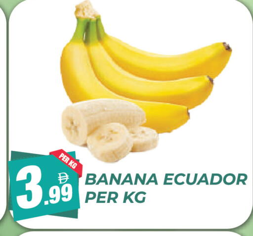Banana from Ecuador available at Dream Land in UAE - Dubai