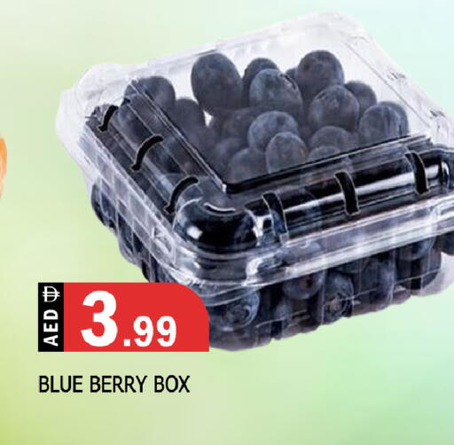 available at المدينة in الإمارات العربية المتحدة , الامارات - الشارقة / عجمان