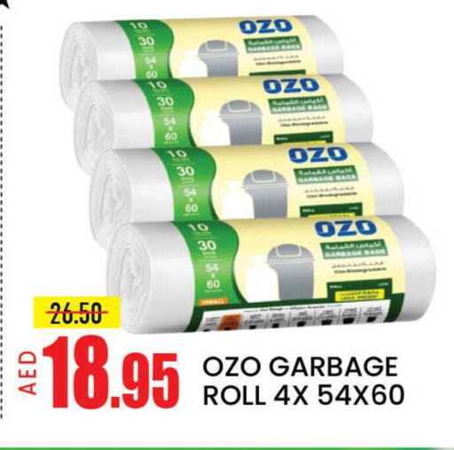 Mango available at مانجو هايبرماركت in الإمارات العربية المتحدة , الامارات - دبي