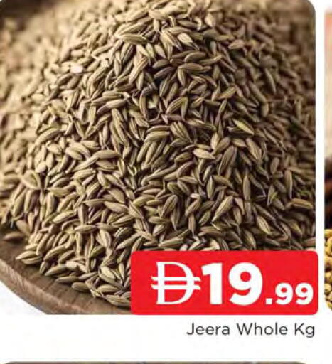 available at المدينة in الإمارات العربية المتحدة , الامارات - الشارقة / عجمان