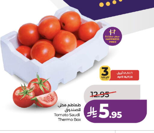 Tomato from Saudi Arabia available at لولو هايبرماركت in مملكة العربية السعودية, السعودية, سعودية - جدة