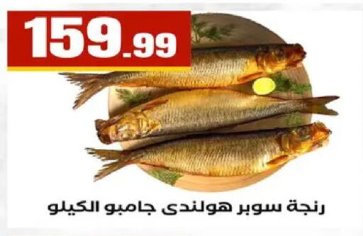 available at MartVille in Egypt - Cairo