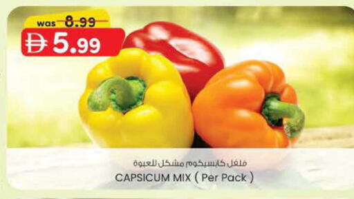 Capsicum available at ك. الم. للتجارة in الإمارات العربية المتحدة , الامارات - الشارقة / عجمان