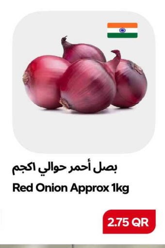 Onion available at سنومارت in قطر - الشمال