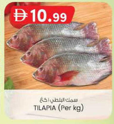 available at ك. الم. للتجارة in الإمارات العربية المتحدة , الامارات - الشارقة / عجمان