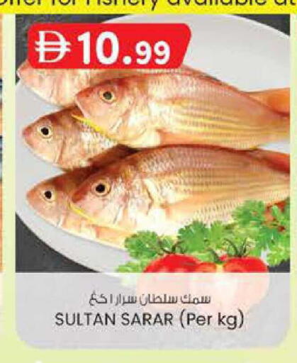 available at صفا اكسبريس سوبرماركت in الإمارات العربية المتحدة , الامارات - أبو ظبي