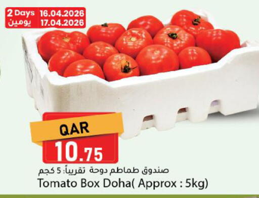 Tomato from Qatar available at دانا ماركت in قطر - الدوحة