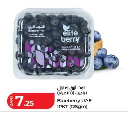 Blueberry BlueBerry available at لولو هايبرماركت in قطر - الريان