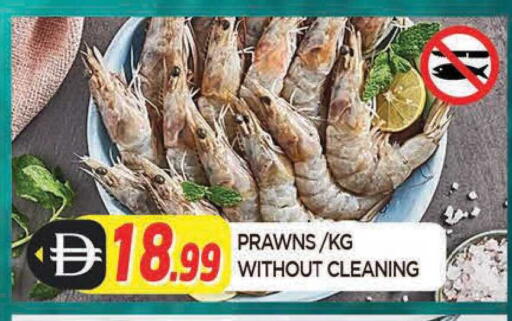 available at المدينة in الإمارات العربية المتحدة , الامارات - الشارقة / عجمان