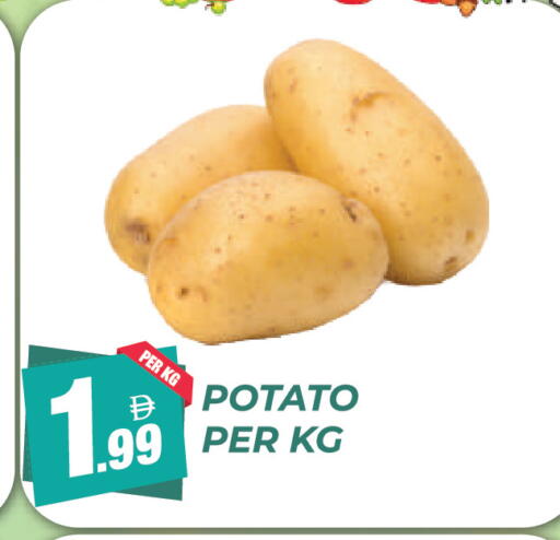 Potato available at Dream Land in UAE - Dubai