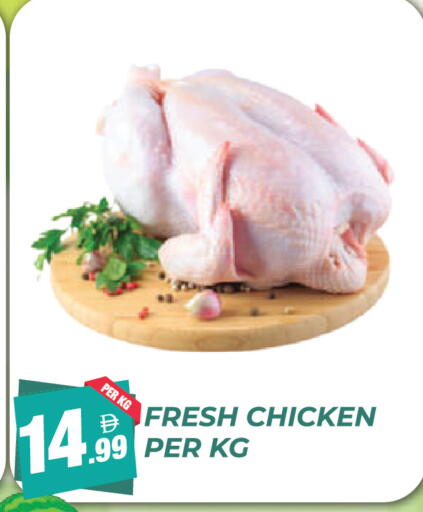 available at Dream Land in UAE - Dubai