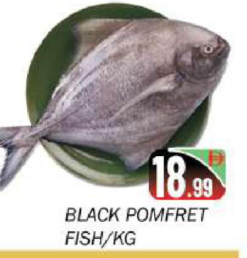 available at سوق المبارك هايبرماركت in الإمارات العربية المتحدة , الامارات - الشارقة / عجمان