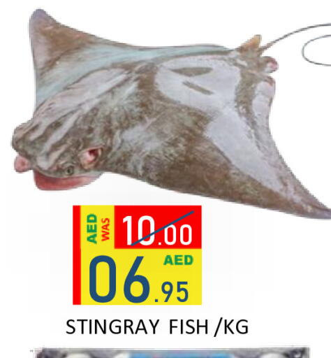 available at رويال جلف هايبرماركت in الإمارات العربية المتحدة , الامارات - أبو ظبي