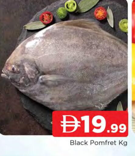 available at المدينة in الإمارات العربية المتحدة , الامارات - الشارقة / عجمان