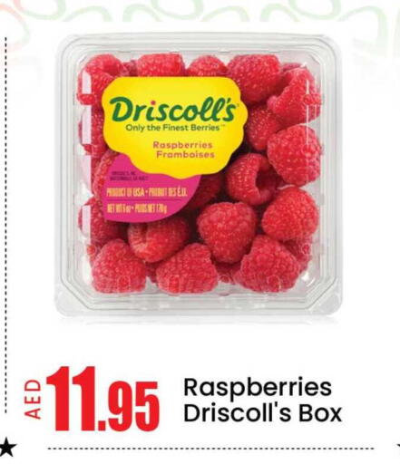 Mango available at مانجو هايبرماركت in الإمارات العربية المتحدة , الامارات - دبي