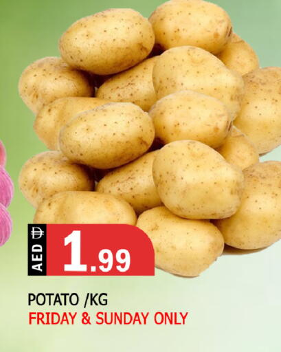 Potato available at المدينة in الإمارات العربية المتحدة , الامارات - الشارقة / عجمان