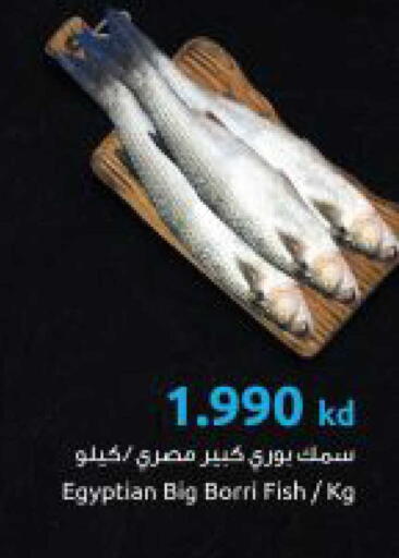 available at The Sultan Center in Kuwait - Kuwait City